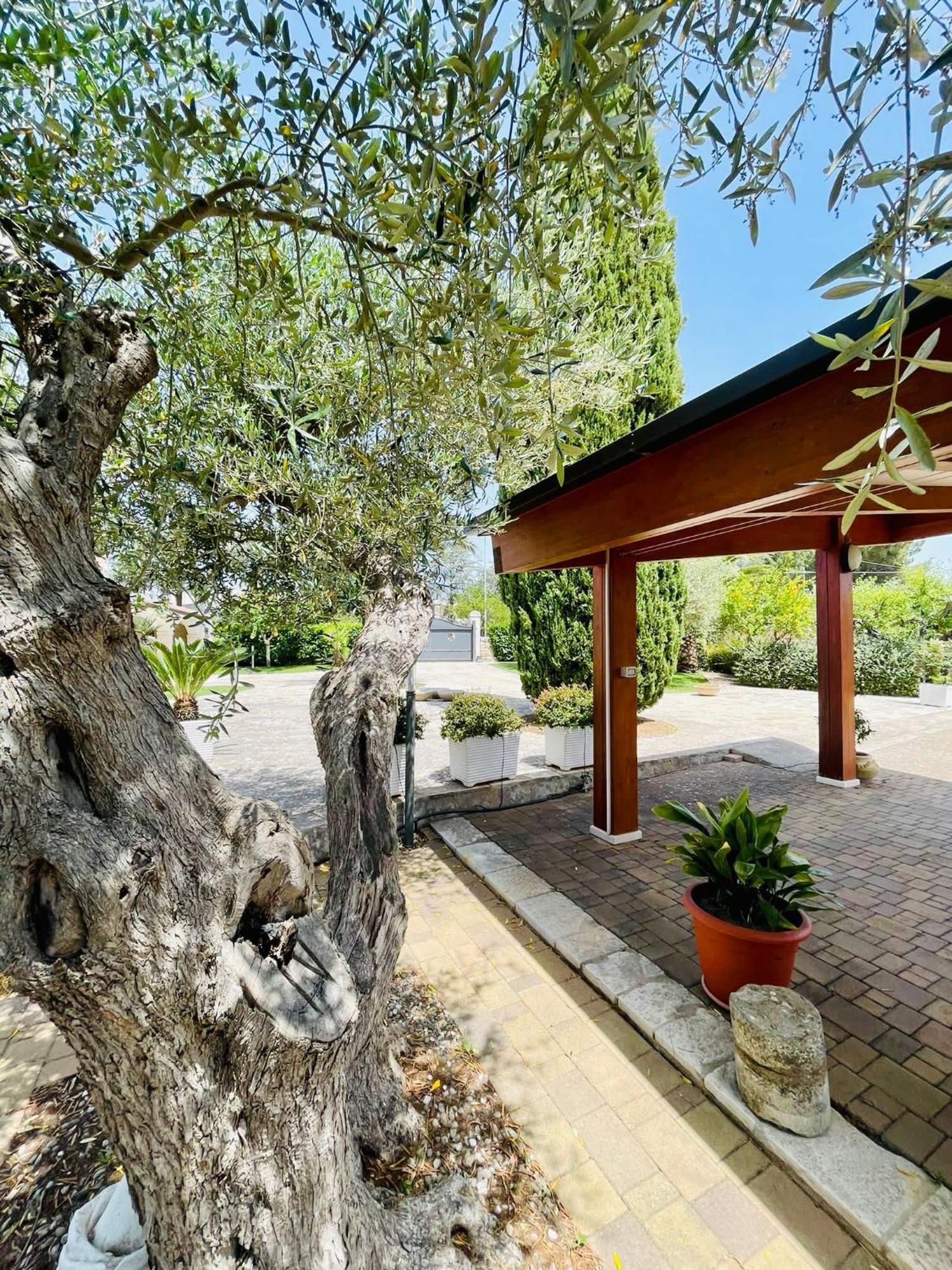 Trulli Ada Villa Noci Exteriör bild